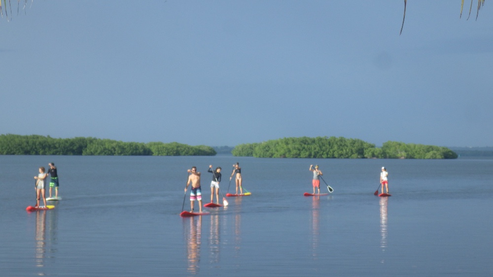 Excursion en stand up paddle mangrove et lagon à plage Babin