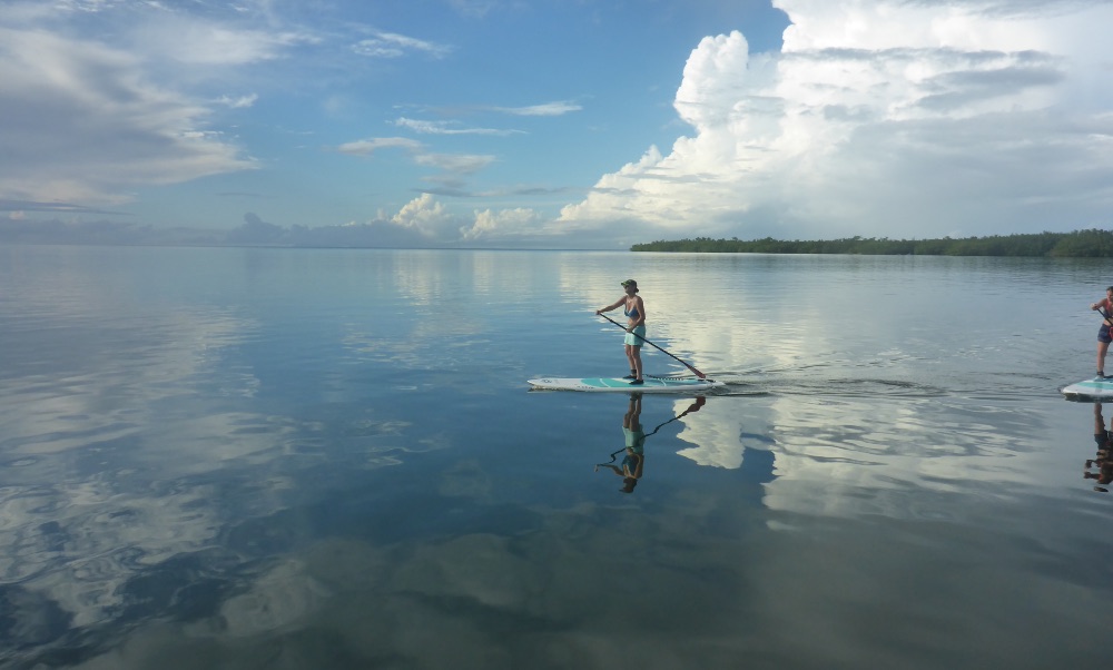 Excursion en stand up paddle mangrove et lagon à plage Babin