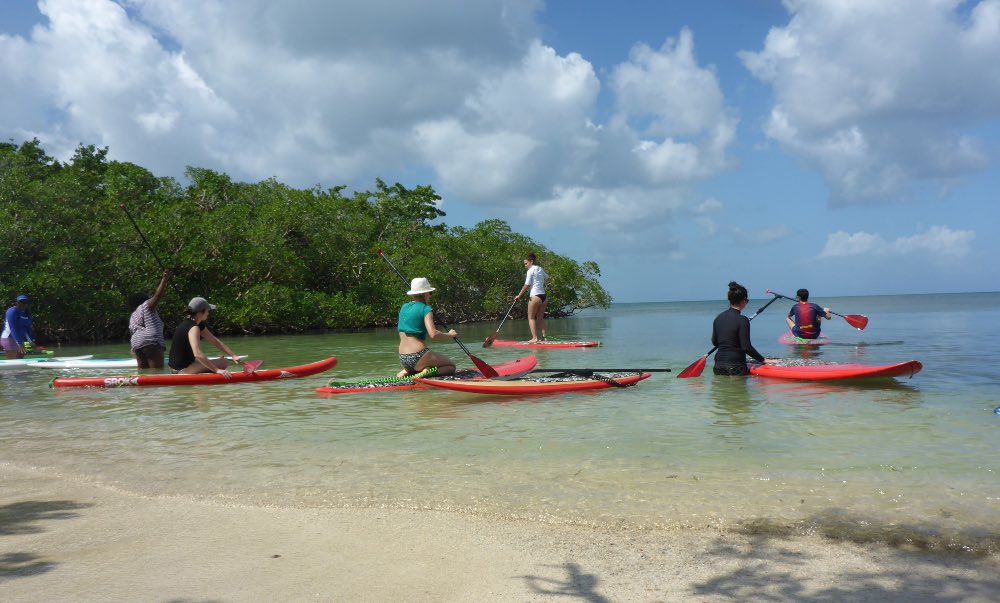 Excursion en stand up paddle mangrove et lagon à plage Babin