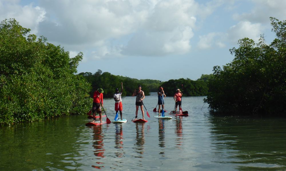 Excursion en stand up paddle mangrove et lagon à plage Babin
