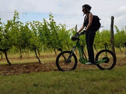 Randonnée en trottinette électrique tout terrain à Ribagnac