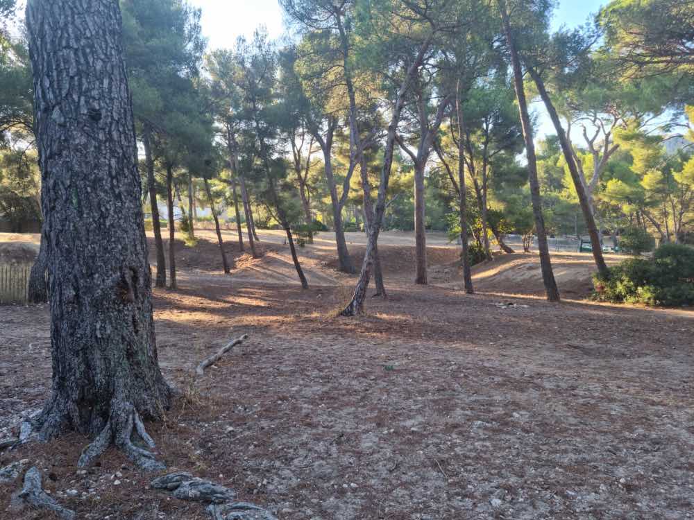 Laser Game à domicile sur Marseille et ses alentours