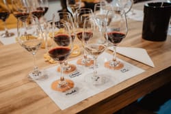 Atelier création d'un vin rouge en équipe à Bordeaux