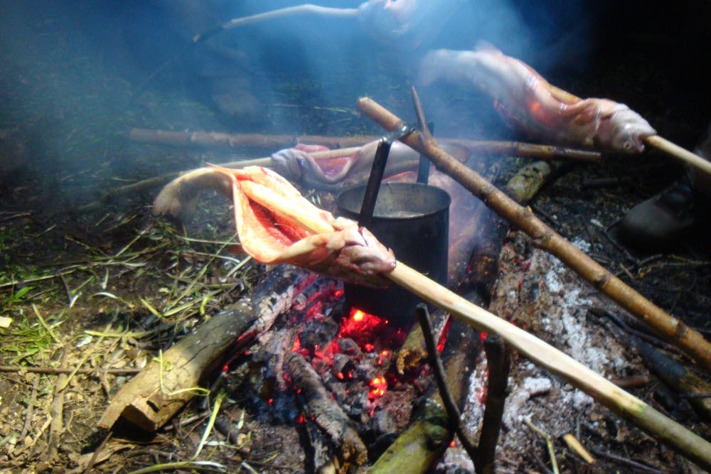 Stage de survie à côté d'Annecy