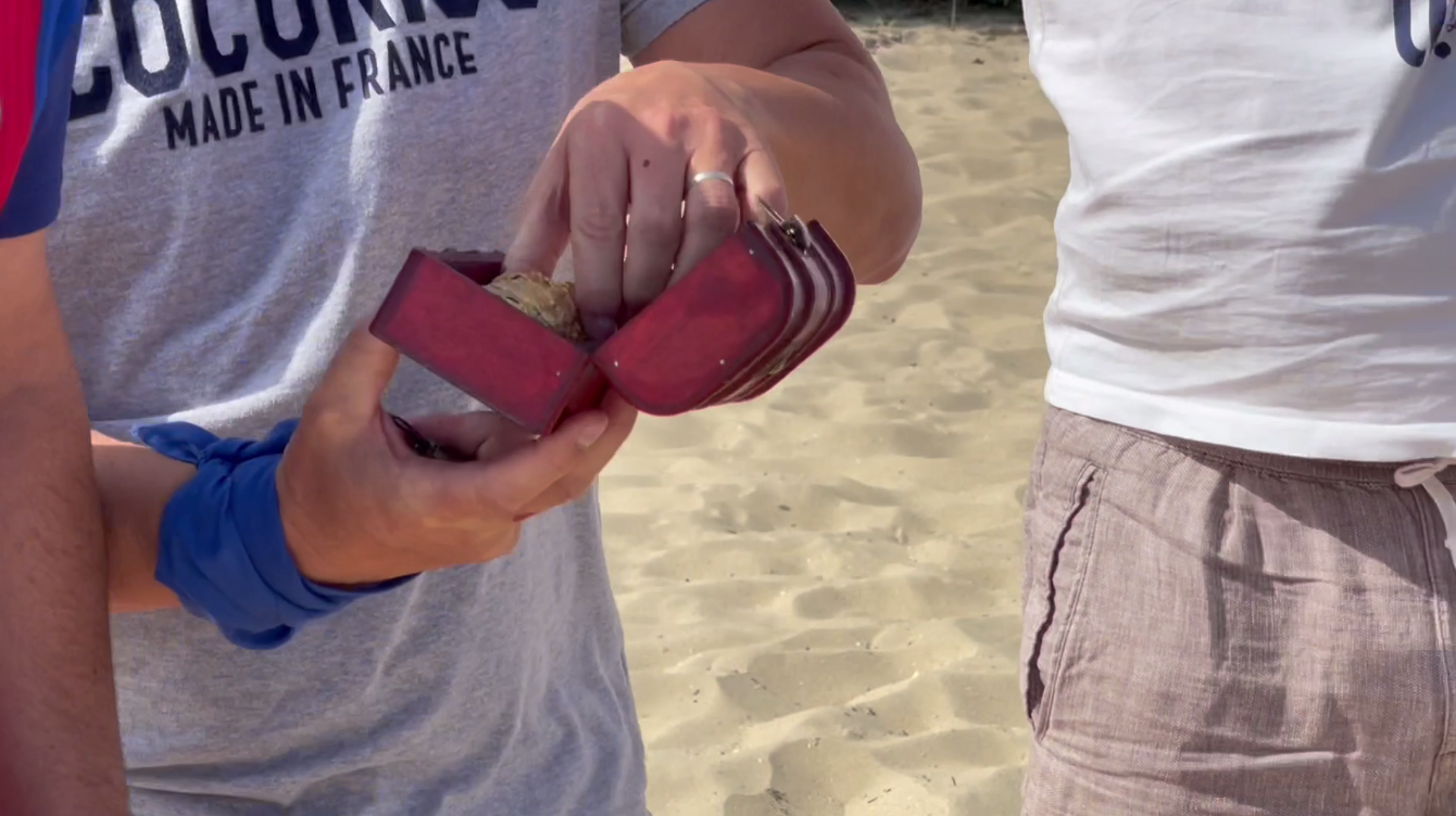 Challenge d'équipe à la plage d'Arcachon - Team building