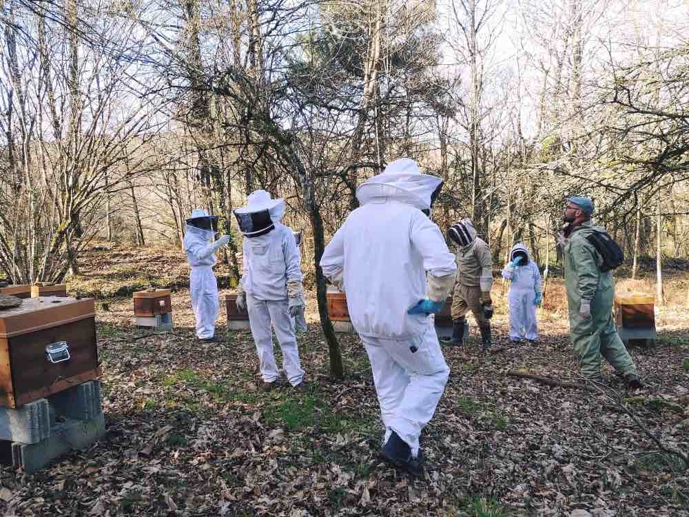 Initiation à l'apiculture à Laval