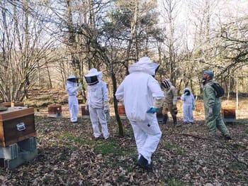 Initiation à l'apiculture à Laval