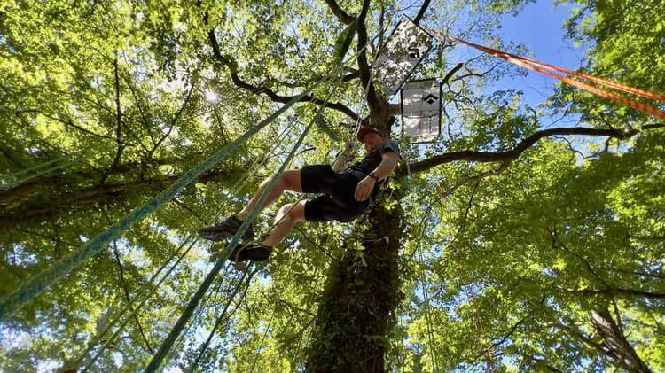 Escalade dans les arbres près de Montargis