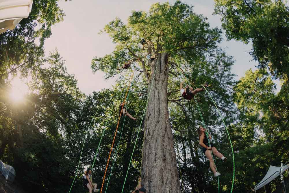 Escalade dans les arbres près de Montargis