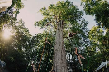 Escalade dans les arbres près de Montargis