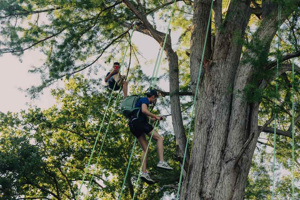 Escalade dans les arbres près de Montargis