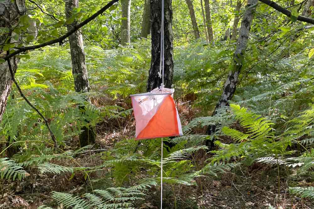 Course d'orientation près de Montargis