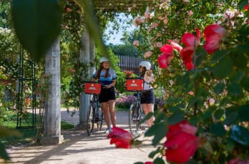 Balade guidée et découverte de Lyon en E-bike