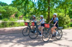 Balade guidée et découverte de Lyon en E-bike