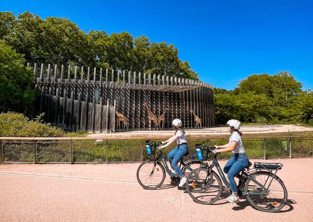 Lyon : visites guidées à vélo électrique