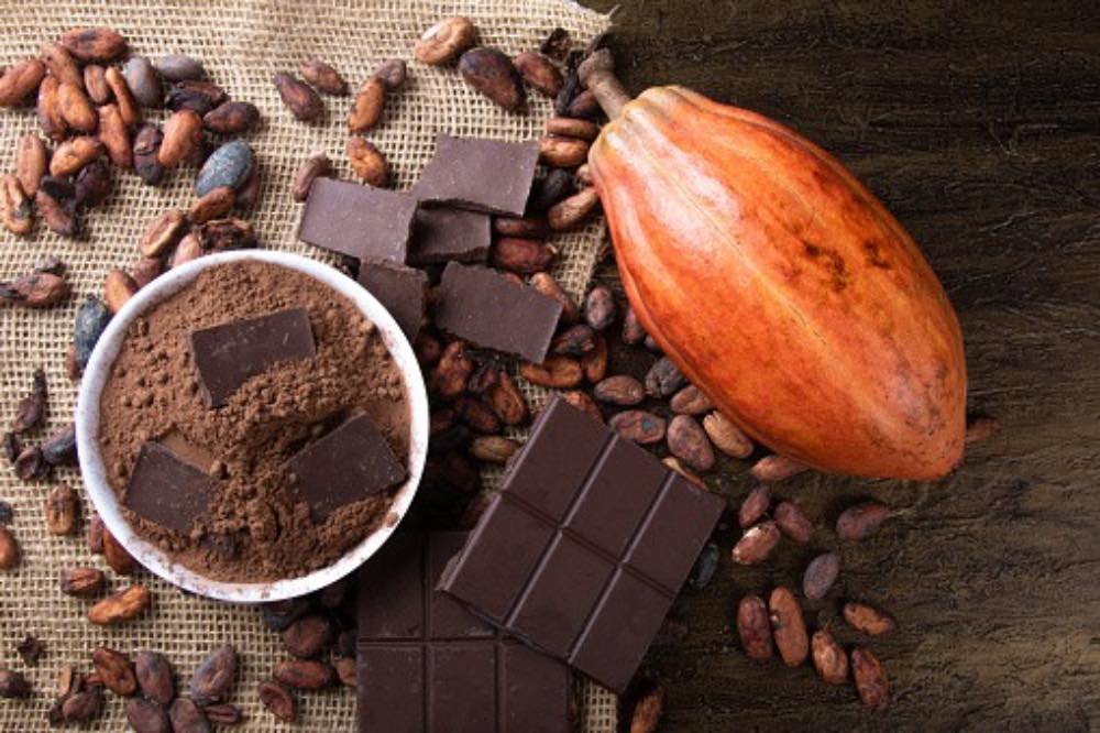 Dégustation de chocolat à Amsterdam