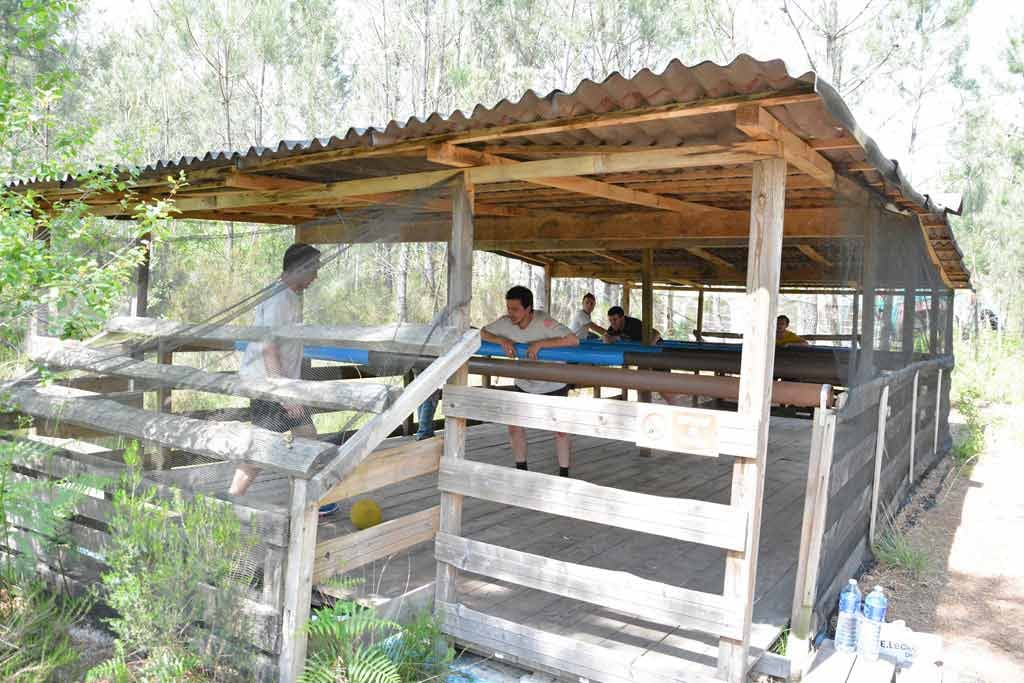 Combo activités - Hostens (près de Bordeaux)