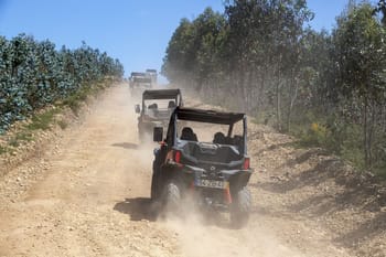 Randonnée Buggy à Porto