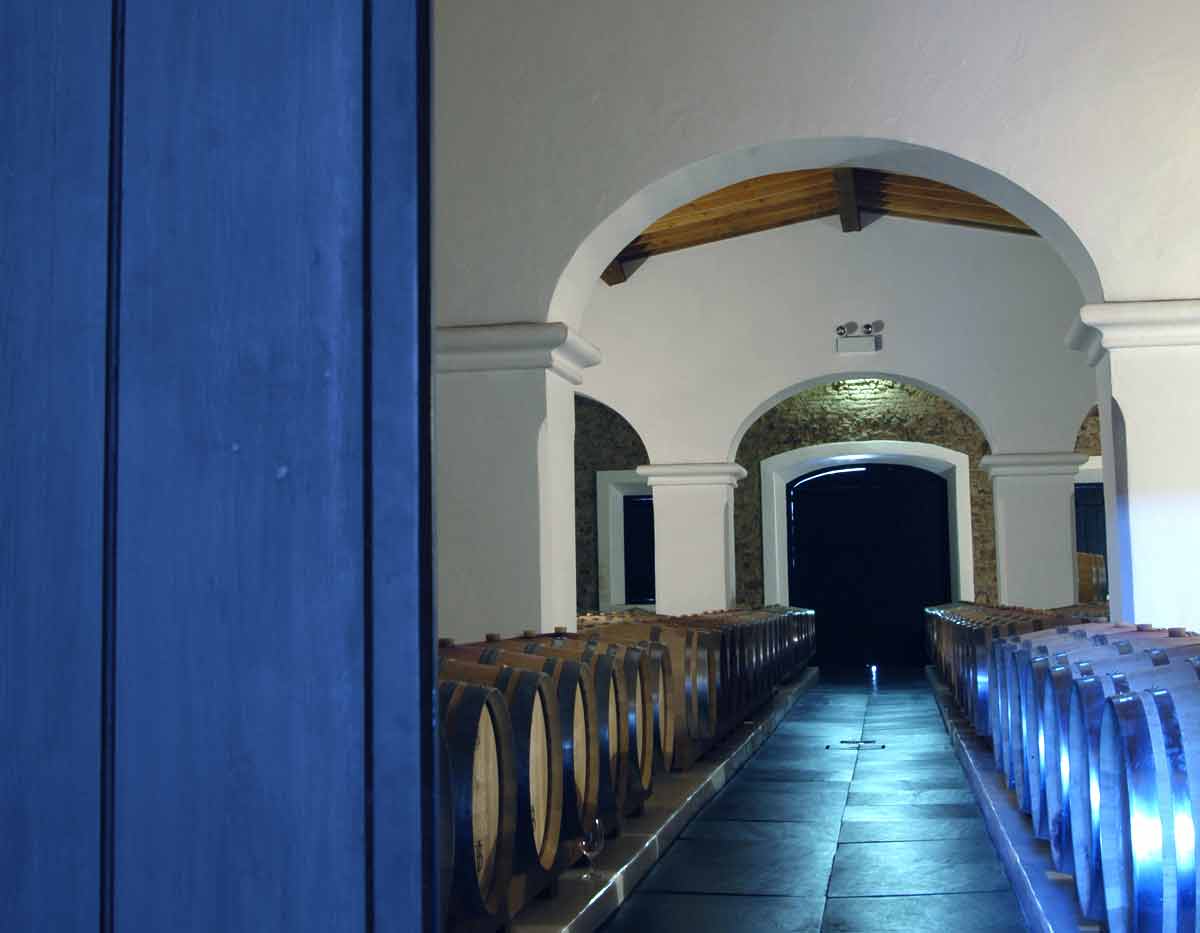 Route des vins des domaines viticoles de Lisbonne (Portugal) - EVG, EVJF - Teambuilding 