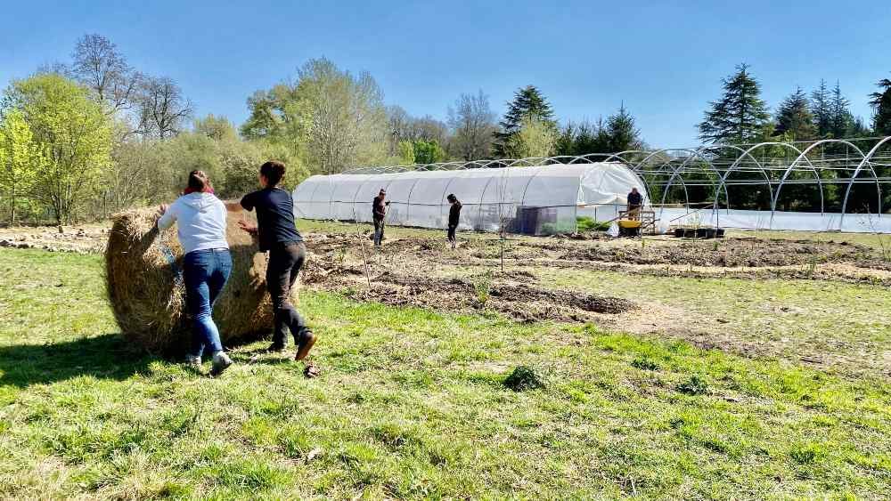 Immersion dans une ferme urbaine à Bordeaux