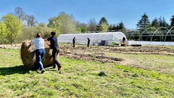 Immersion dans une ferme urbaine à Bordeaux