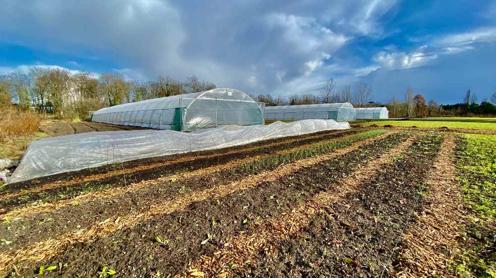 Immersion dans une ferme urbaine à Bordeaux