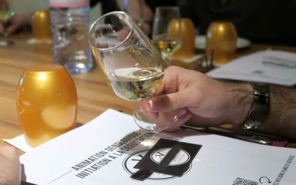 Initiation à la dégustation de vin à Strasbourg - Thématiques par Région