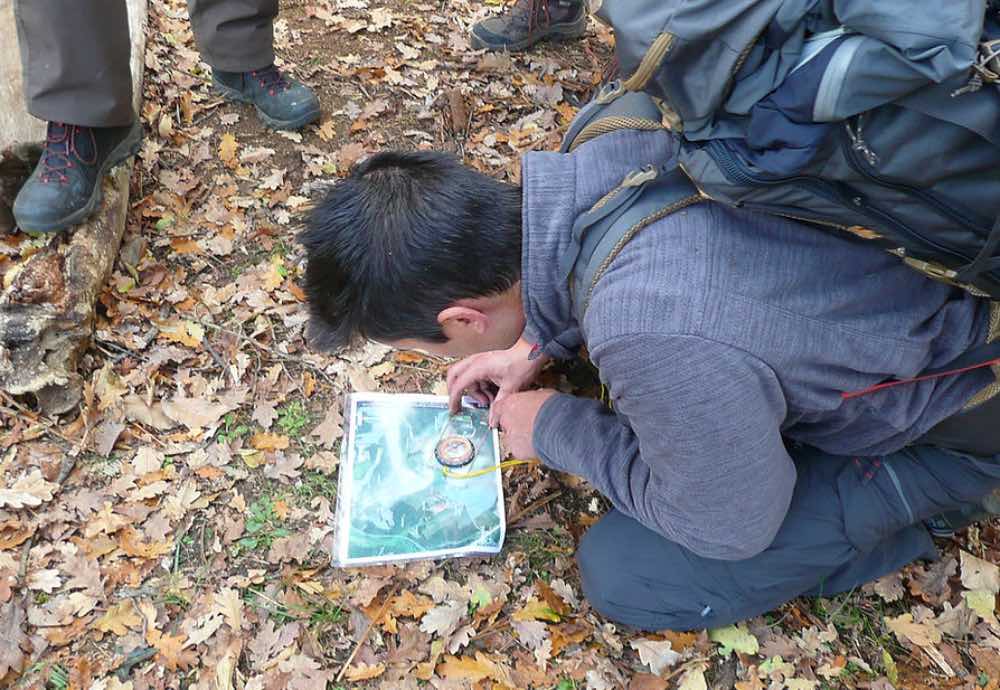 Atelier apprendre à s'orienter en forêt en Île de France