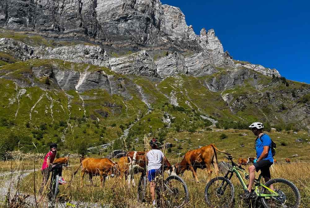 Expérience en VTT électrique à Chamonix