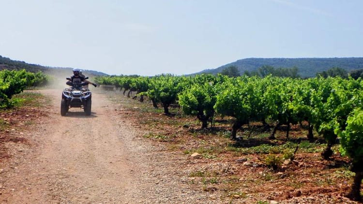 Œnotourisme dans l'Hérault : randonnée Quad et dégustation de vins