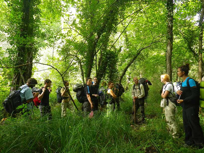 Stage de survie en milieu forestier près de Bordeaux