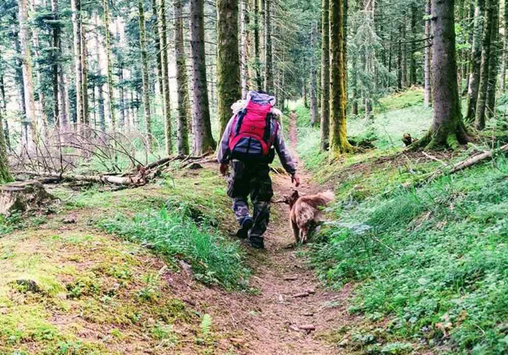 Stage de survie en milieu forestier près de Bordeaux