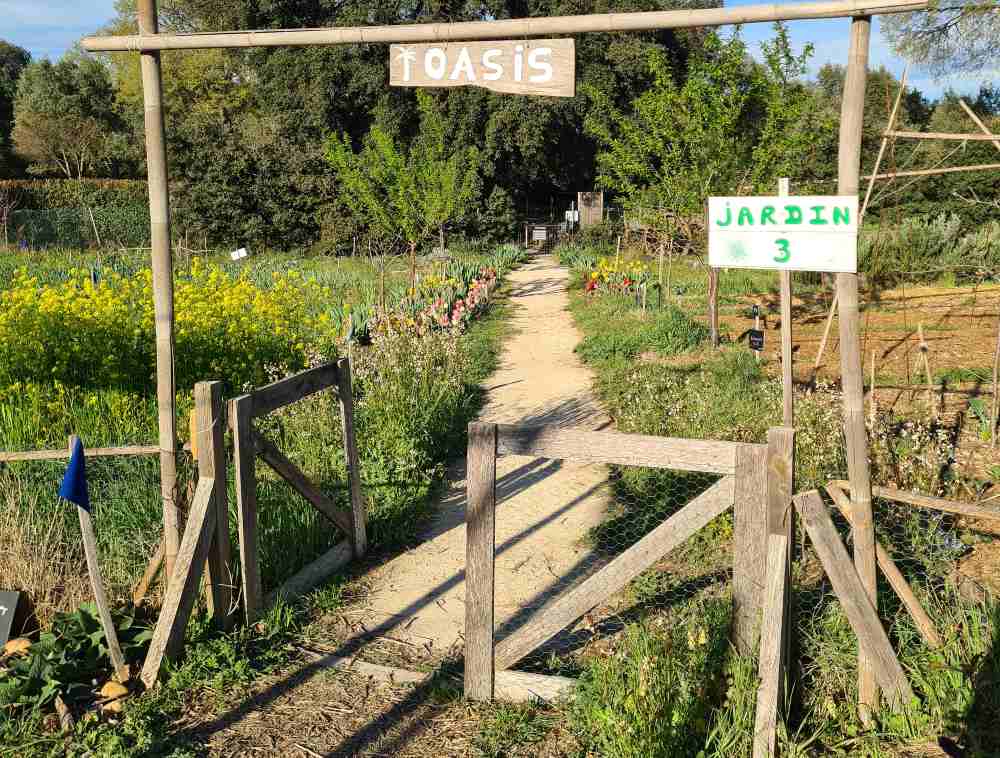 Visite d'une ferme agroécologique urbaine à Montpellier