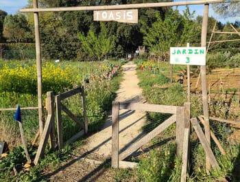 Visite d'une ferme agroécologique urbaine à Montpellier