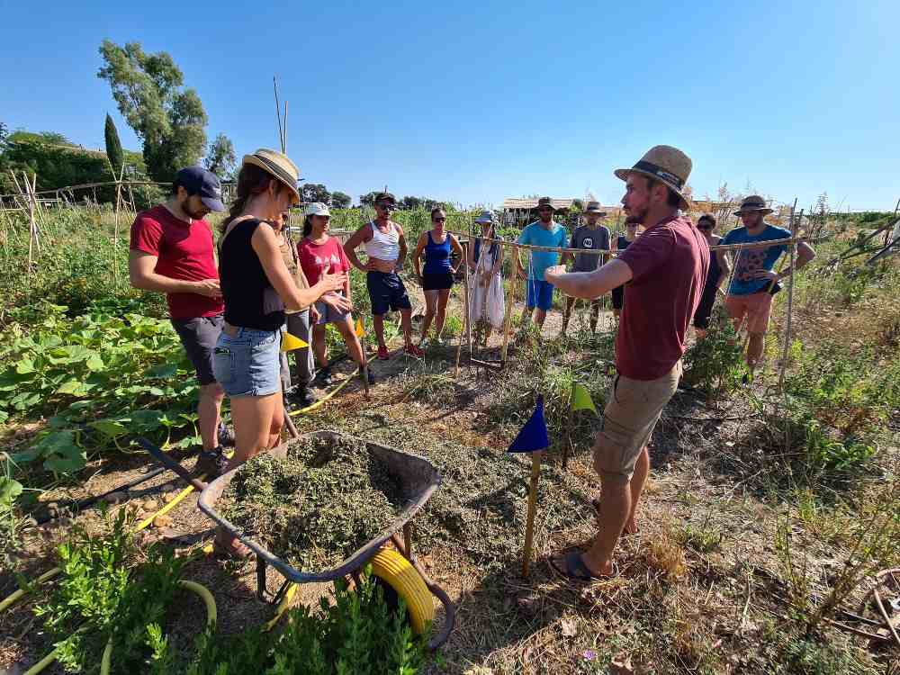 Visite d'une ferme agroécologique urbaine à Montpellier