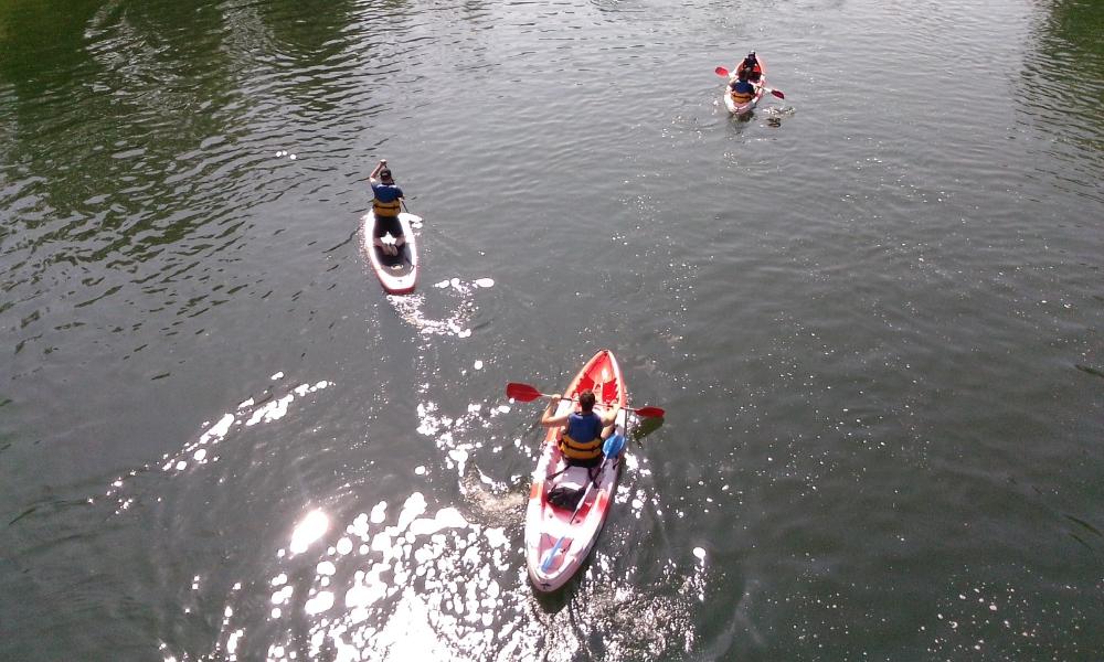 Descente en Paddle sur Joigny 