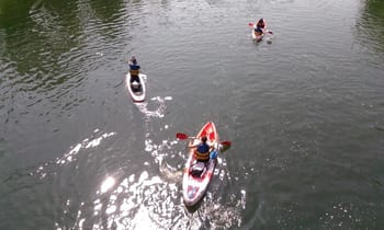 Descente en pédalo sur Joigny