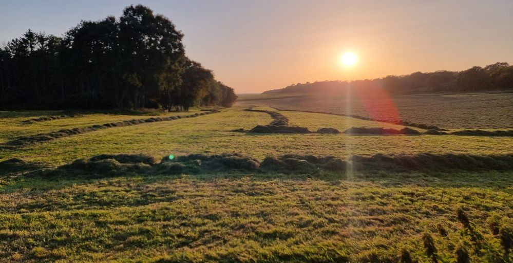 Stage de survie en Belgique 