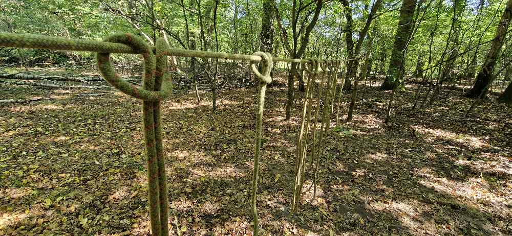 Stage de survie en Belgique 