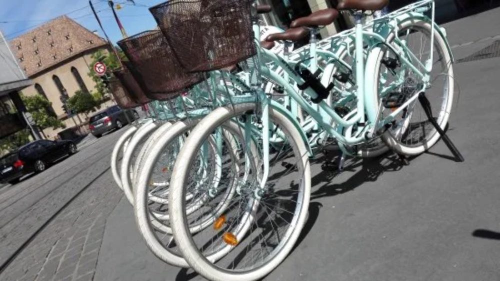 Visite guidée de Strasbourg en vélo - 67