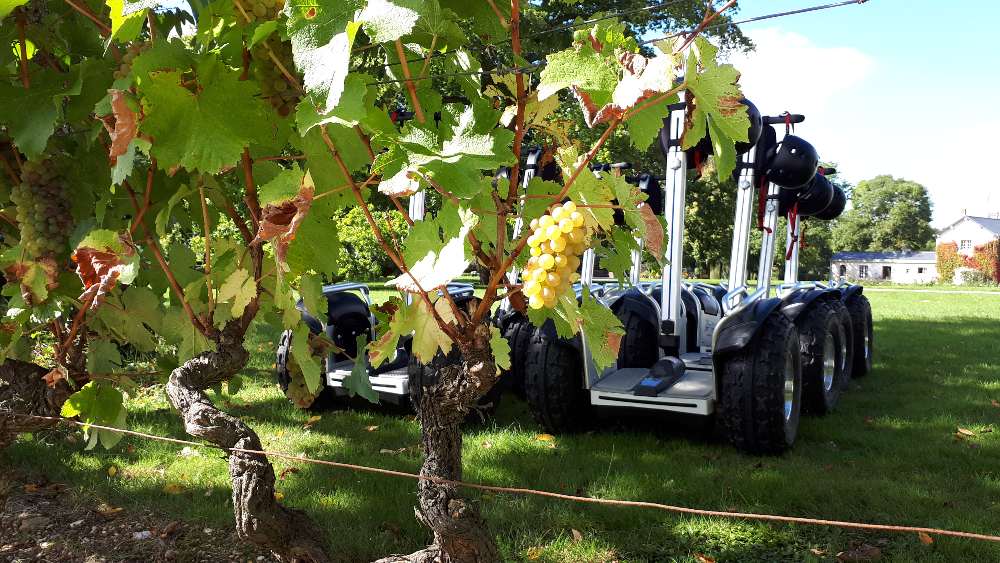 Visite guidée en segway à tours 