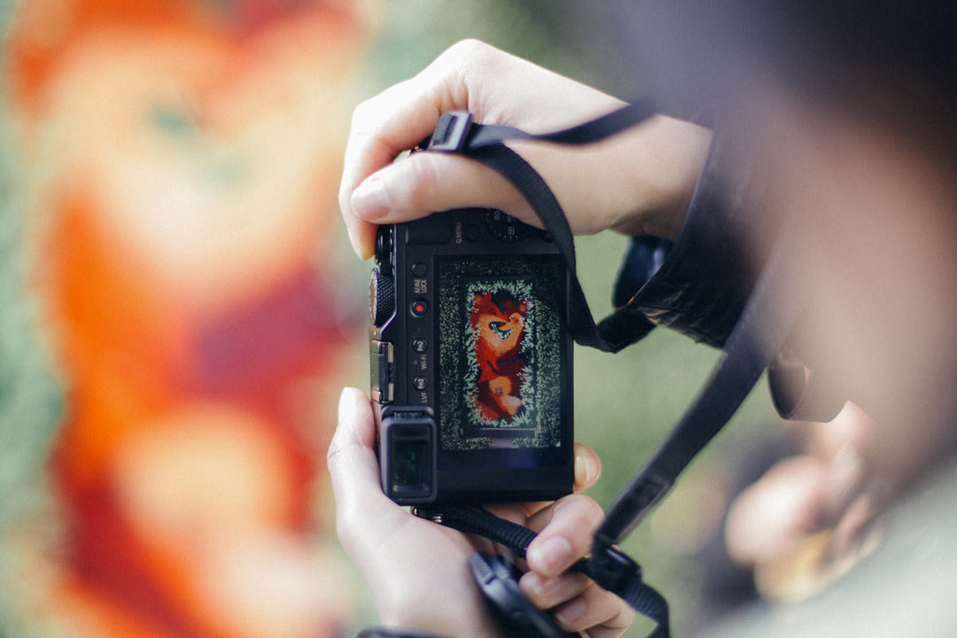 Balade et cours photo dans le Paris insolite avec un photographe pro !