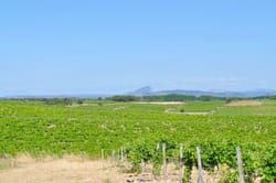 Escape game en plein air avec dégustation - Entre-Vignes