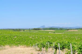 Escape game en plein air avec dégustation - Entre-Vignes