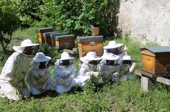Ateliers Nature : jardinage, soins aux animaux, apiculture dans une ferme proche d'Evry - 91