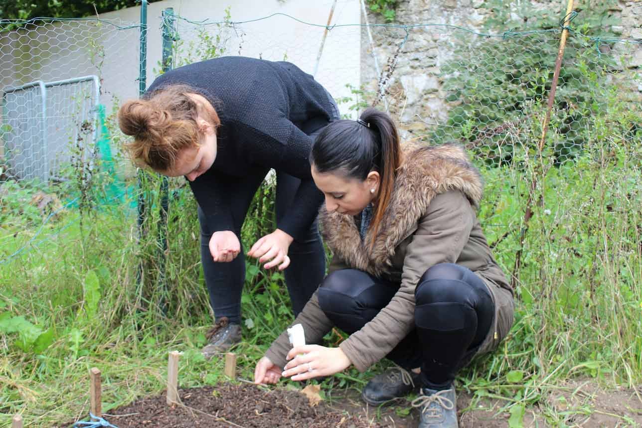Ateliers Nature : jardinage, soins aux animaux, apiculture dans une ferme proche d'Evry - 91 