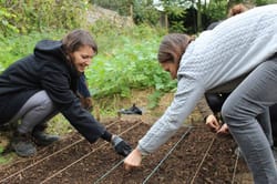 Ateliers Nature : jardinage, soins aux animaux, apiculture dans une ferme proche d'Evry - 91