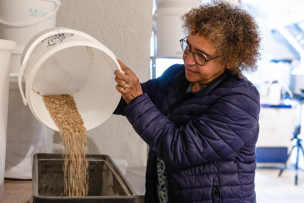 Atelier de brassage de bière à Montpellier