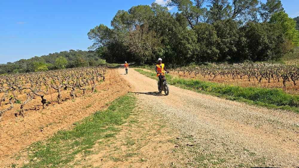 Tour guidé en trottinettes électriques  dans le Var à Carcès 