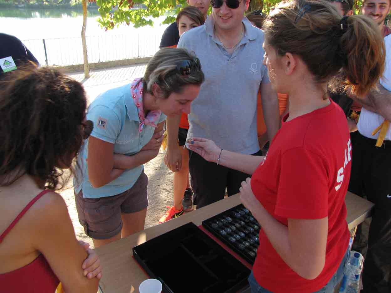 Le Challenge des 5 sens - Ateliers sensoriels pour teambuilding à Toulouse 